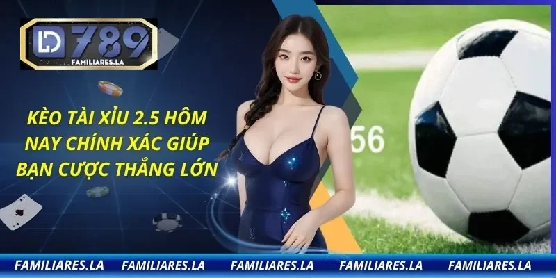 Kèo Tài Xỉu 2.5 Hôm Nay Chính Xác Giúp Bạn Cược Thắng Lớn