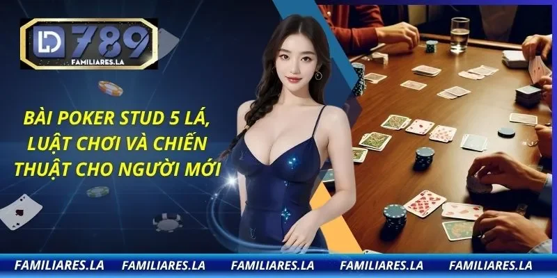 Bài Poker Stud 5 Lá, Luật Chơi Và Chiến Thuật Cho Người Mới