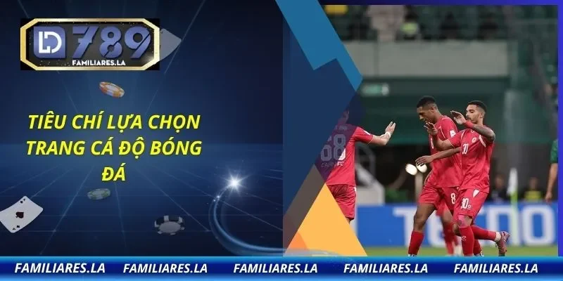 Tiêu chí lựa chọn trang cá độ bóng đá