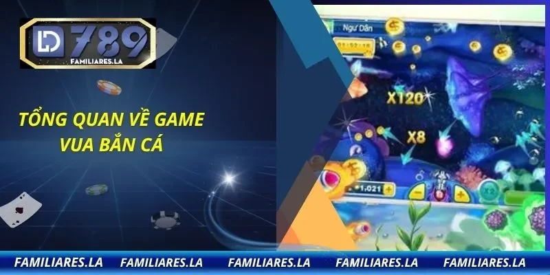 Tổng quan về game Vua bắn cá